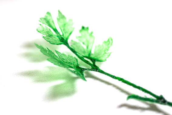 sprig of parsley made of glass